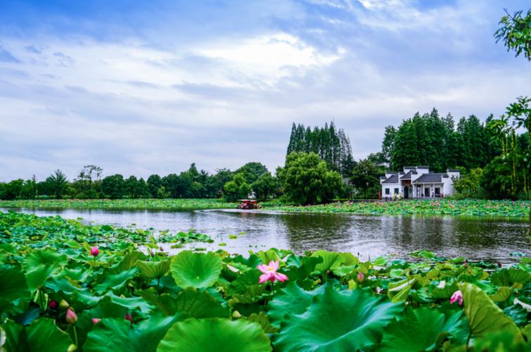 芜湖避暑胜地，夏日清凉之旅  第2张