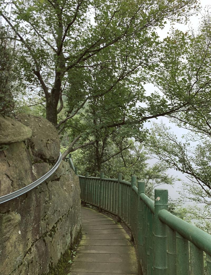 茶山果海,一场跨越时空的绿色盛宴