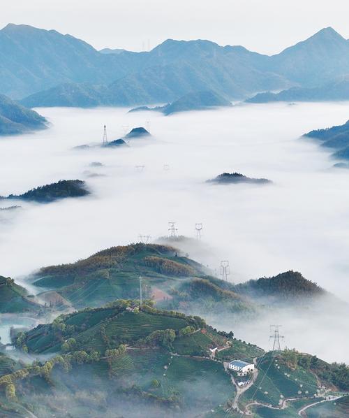 茶陵避暑胜地，探寻自然与人文的和谐交融