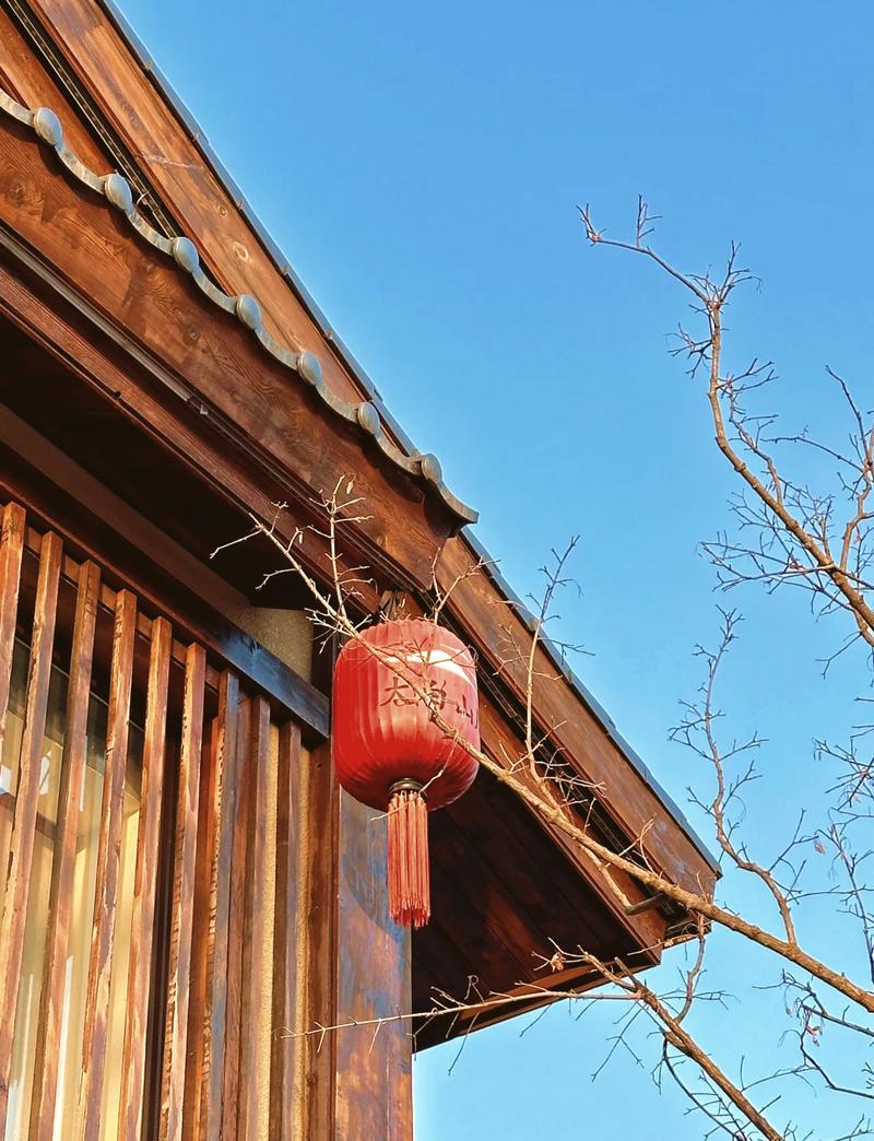 莲花社区,悠然见南山，古韵今风共赏