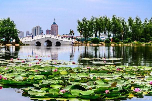 菏泽夏日纳凉之旅,探寻清凉胜境，感受古韵风情