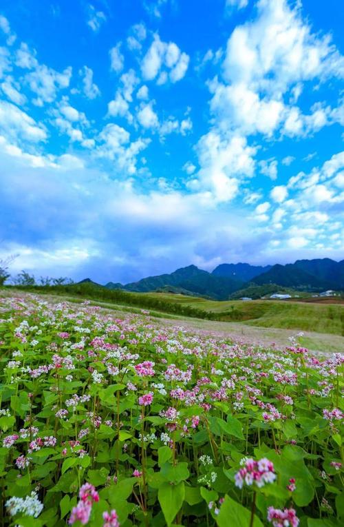 蓝田周边景区,探寻自然之美，感受文化底蕴