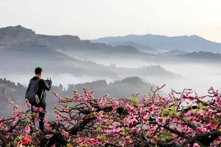 蓬溪桃花故里,探寻四川春天的韵味之地