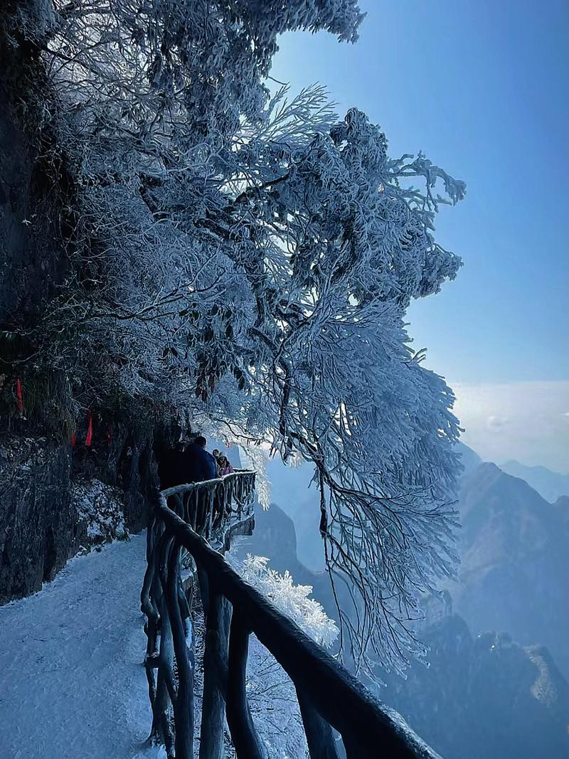 衡阳周边雾凇仙境,冰晶世界中的绝美风光