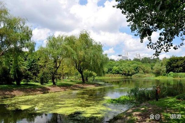 赣江公园沙滩,都市中的天然氧吧，品味自然的诗意栖居