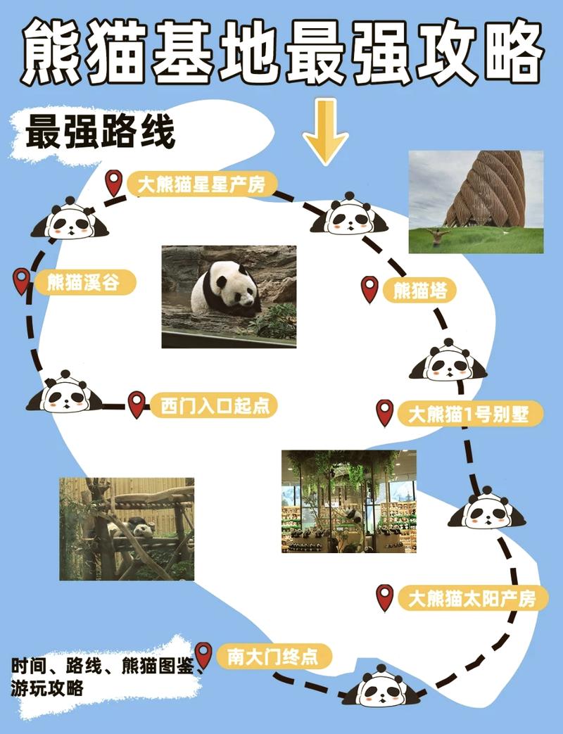 走进熊猫基地，探秘国宝的家园