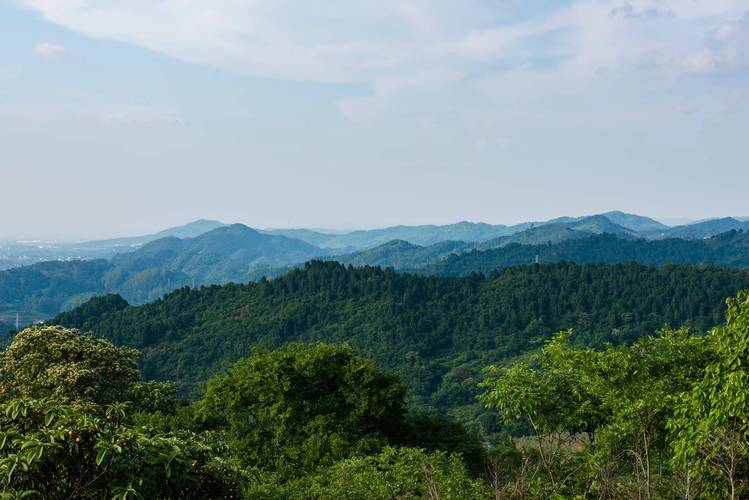 走进龙泉山脉,探寻四川的自然与文化宝藏