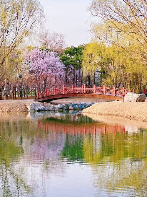 踏青寻春，领略我国春季景点的绝美风光