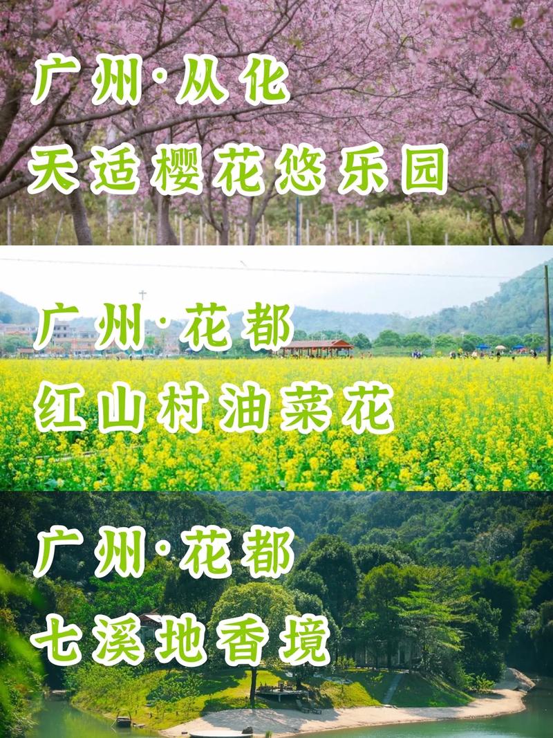 踏青广东，探寻春天的足迹_广东踏青景点大盘点