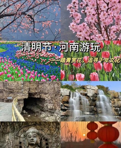 踏青河南，清明时节赏花游