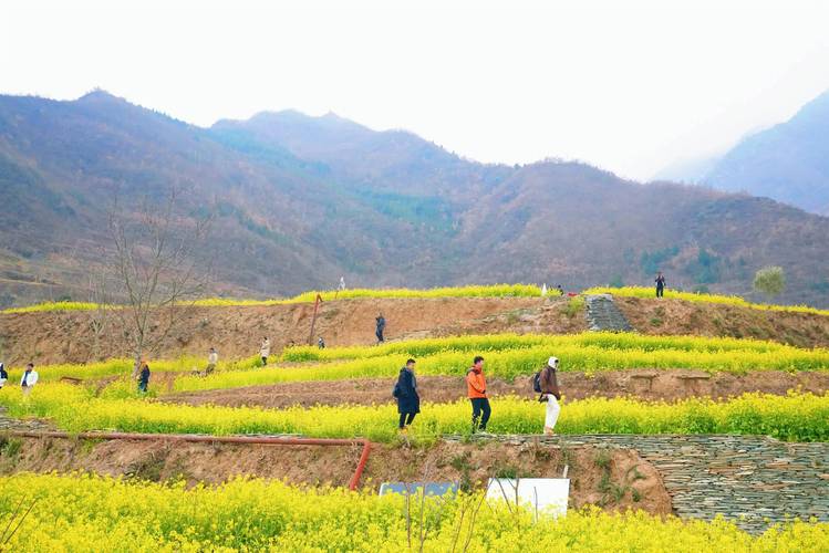 踏青陇县，探寻春天的足迹