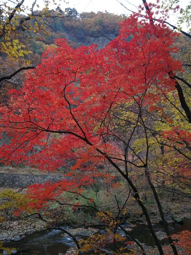 辽宁本溪,探寻东北山水之美，感受红色文化底蕴