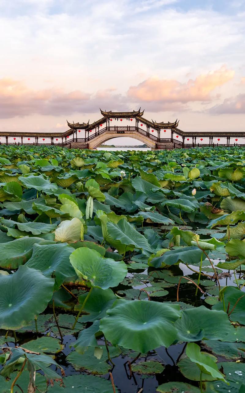 避暑胜地慈溪,探寻江南水乡的清凉世界  第2张