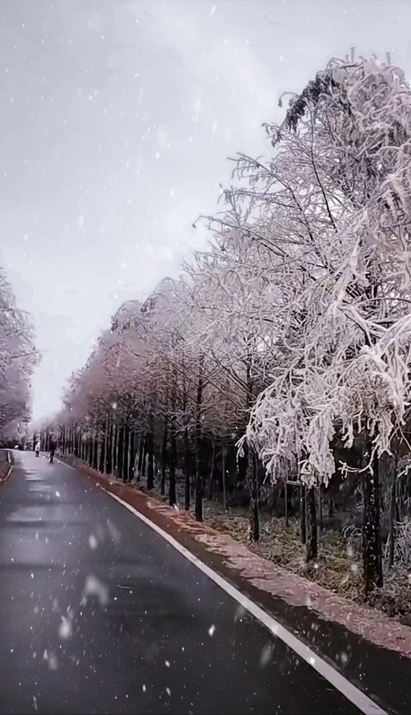 邢台雪景,北国风光，银装素裹的童话世界