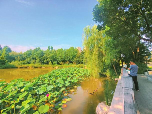 郑州清凉夏日游,探寻清凉胜地，尽享惬意时光