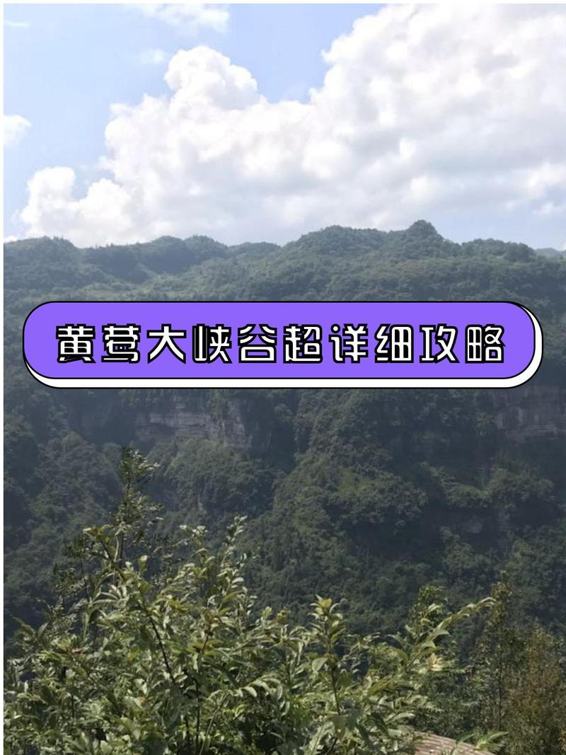 郑州茶山姑娘,探寻自然与现代交融的生态旅游胜地  第2张