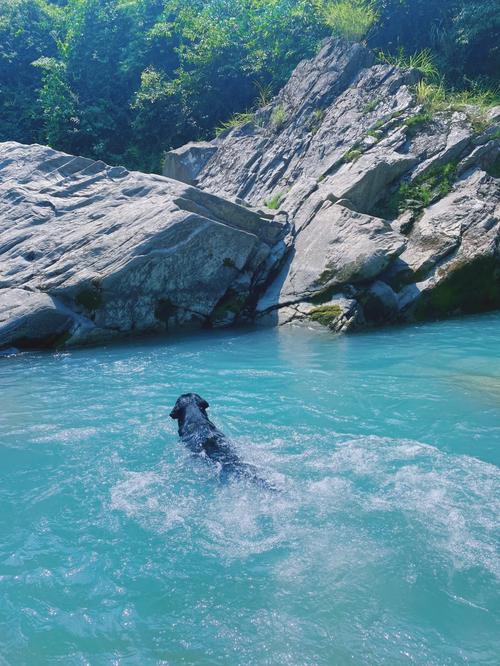 金寨玩水浅滩，畅享夏日清凉时光