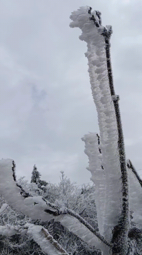 银装素裹，邵阳雪景之美,一场视觉与心灵的盛宴