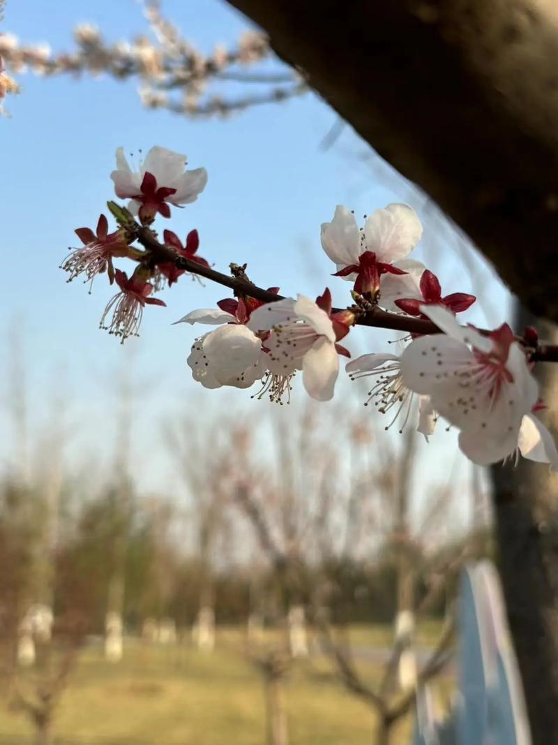 闻喜春游胜地，感受自然之美