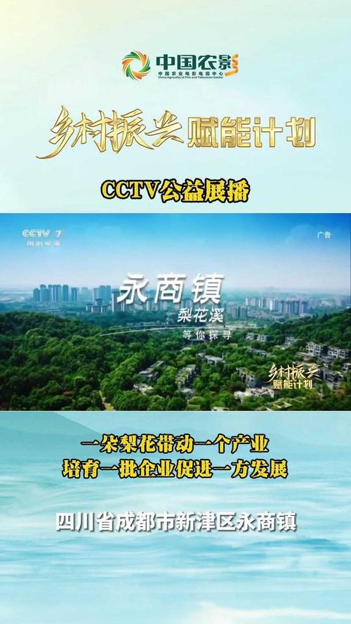 阳江金山路,探寻历史文化与现代风情交融的旅游胜地