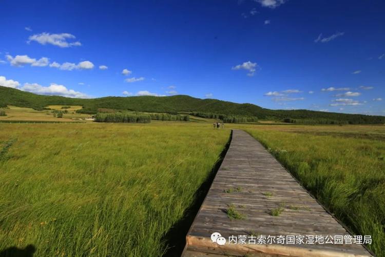 阿荣旗,美丽草原上的旅游胜地，感受大自然的神奇魅力