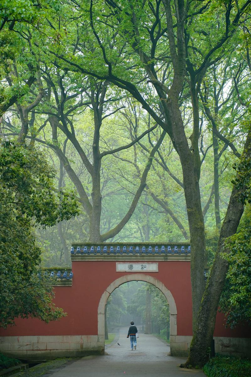 隐匿于南京城中的小众山景，探寻自然与人文的完美融合