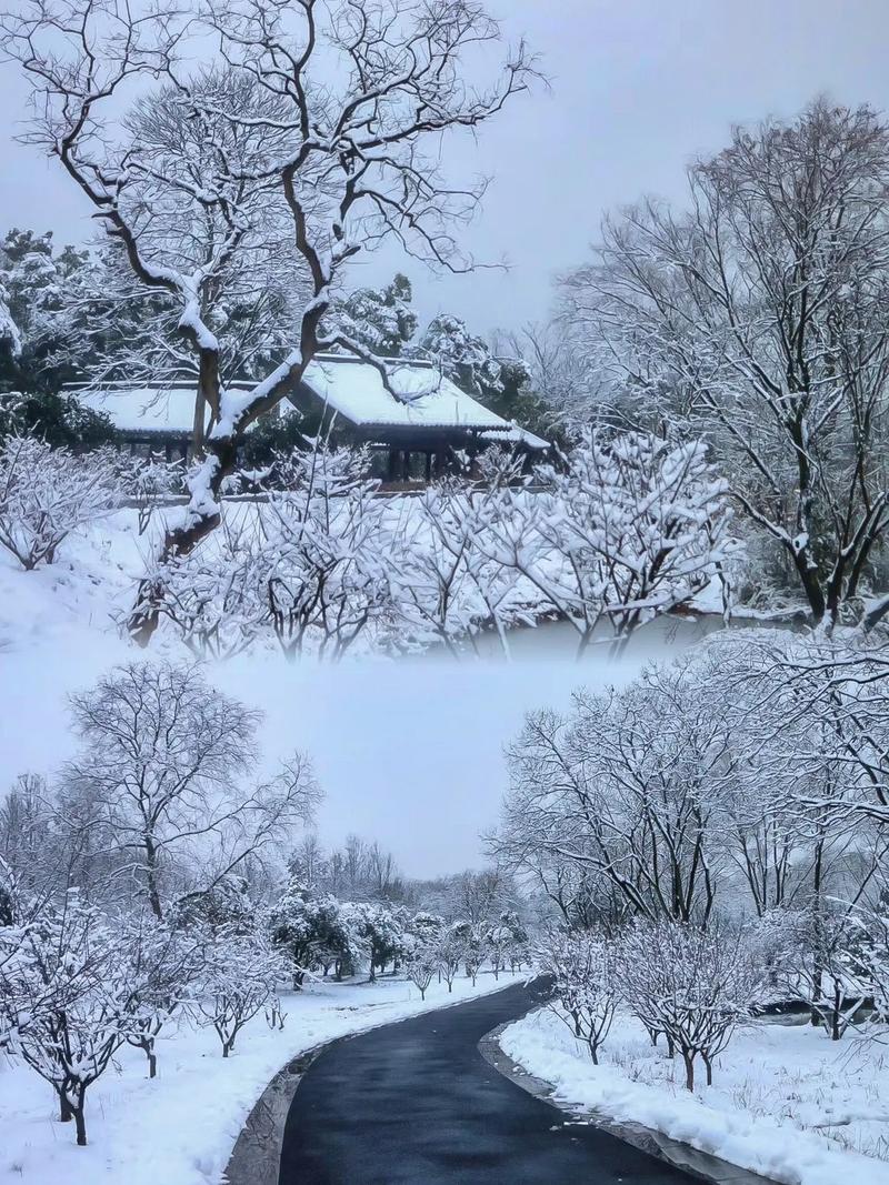 雪中的杭州,邂逅一场浪漫的邂逅之旅