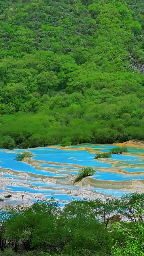 青岗庙水库,山水之间，探寻生态旅游的绿色宝藏