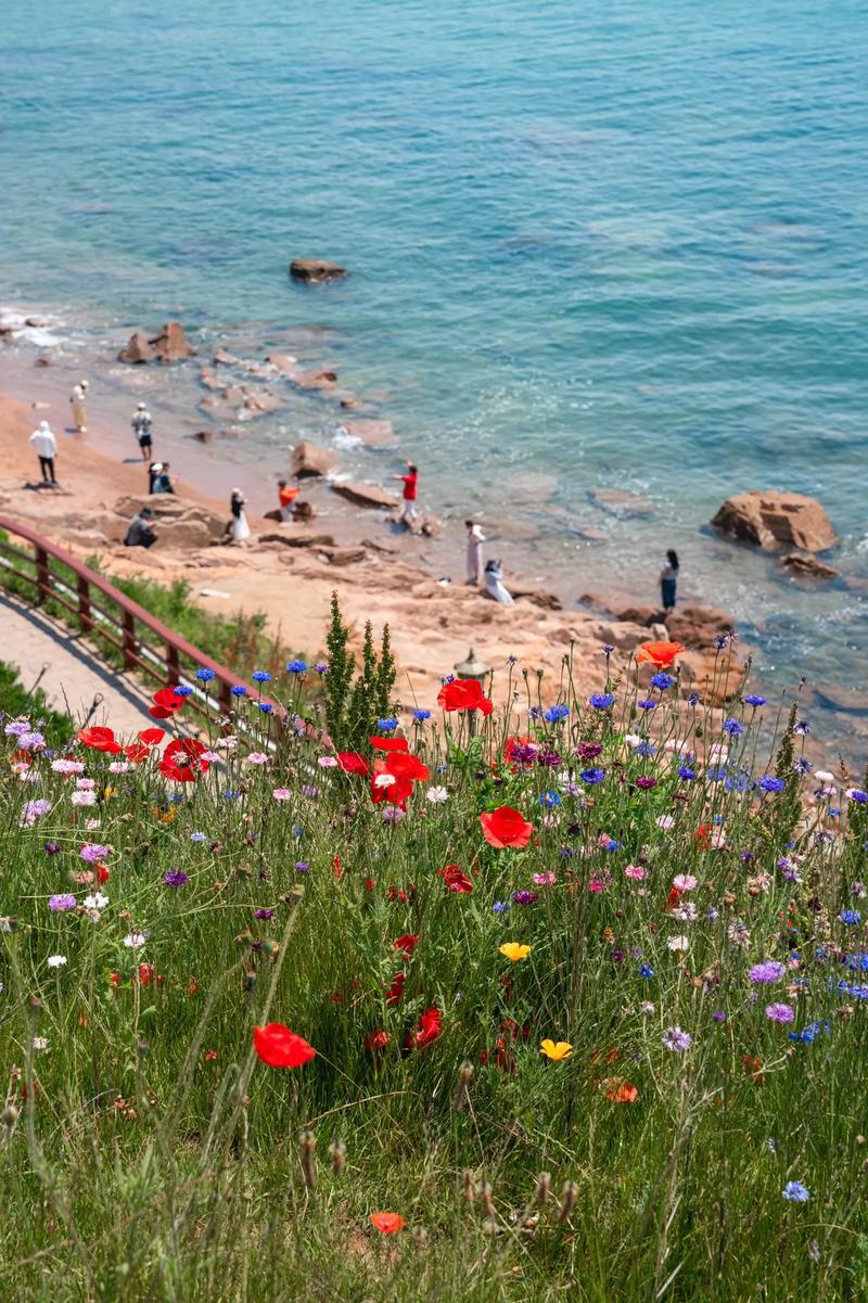 青岛花海,醉美春日里的浪漫仙境