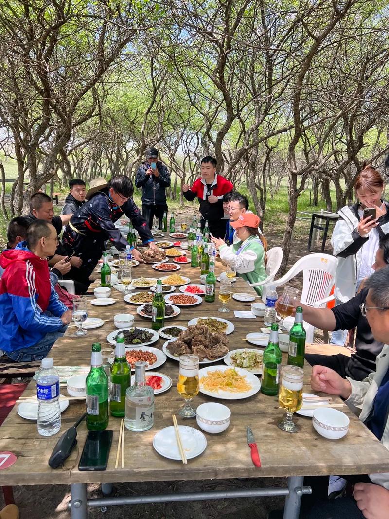 青海郊游野炊,探寻高原秘境，享受自然盛宴