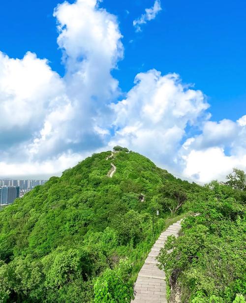 青白山,大自然的绿色瑰宝，历史文化的璀璨明珠