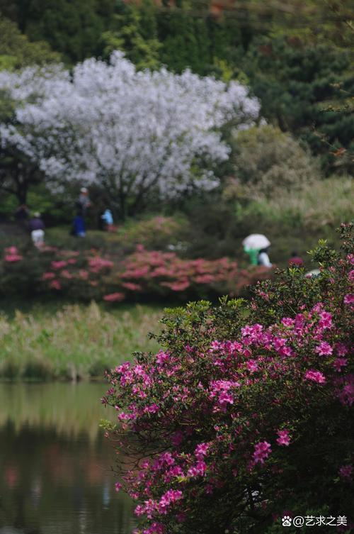 鞍山春季郊游指南,探寻花海、登高望远，享受自然之美