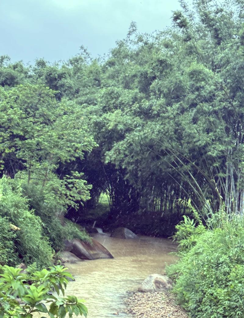 顺德水韵悠悠，畅游夏日清凉胜地