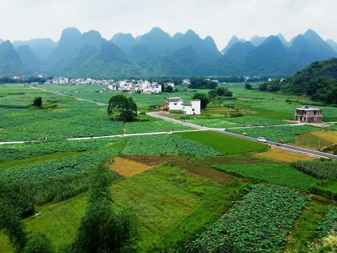 鹿寨艺术田,自然与艺术的完美融合，打造广西乡村旅游新名片