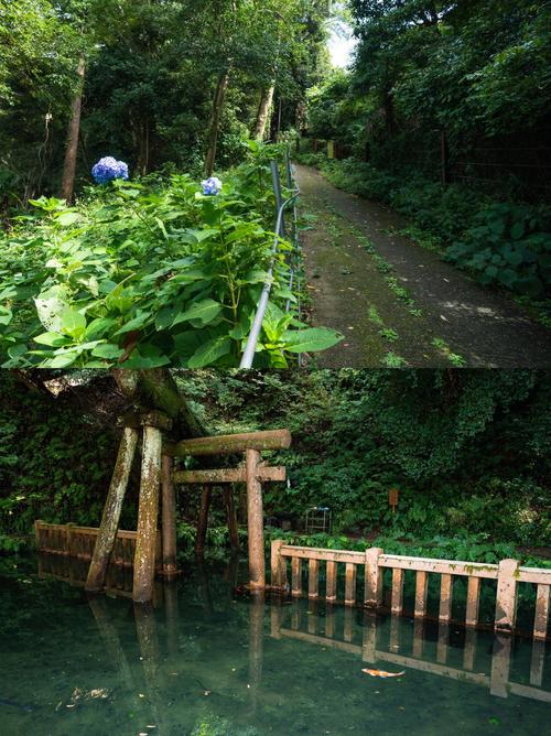 鹿嶋市,探寻日本古老文化的瑰宝之地