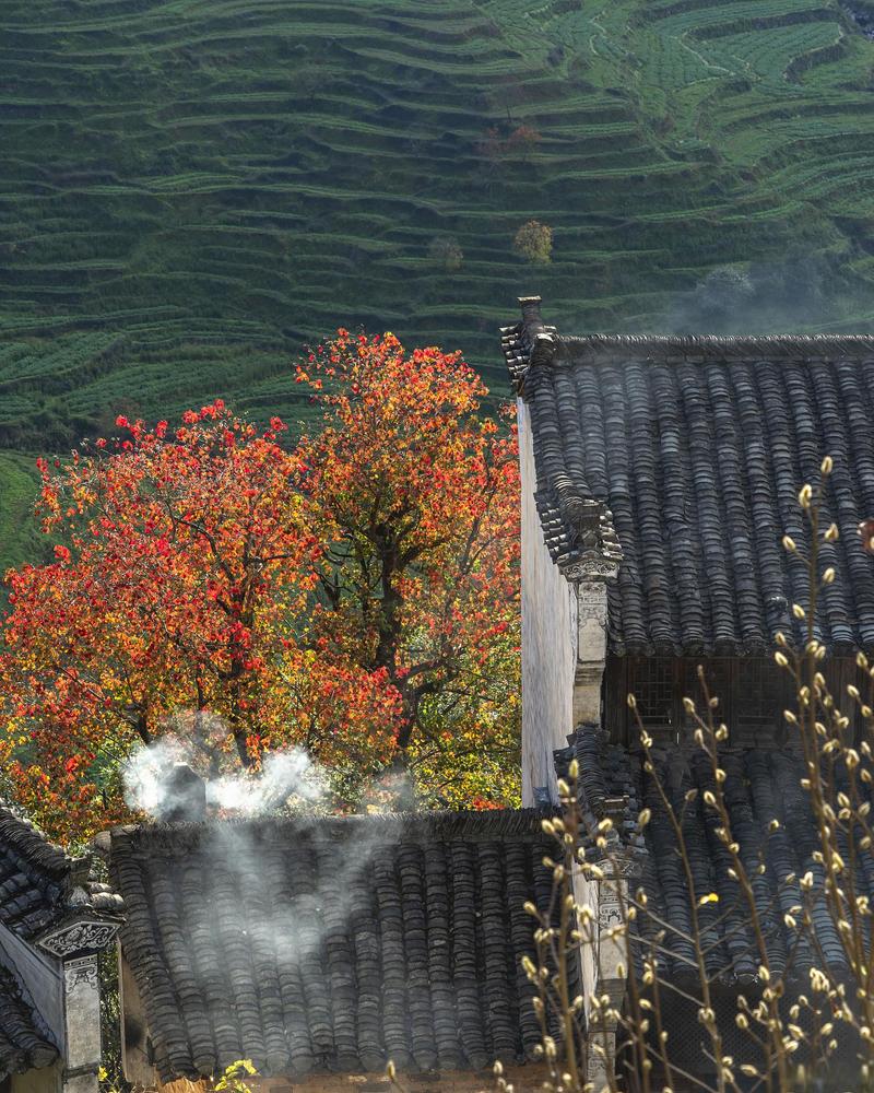 鹿邑建德游园,千年古韵，诗意栖息