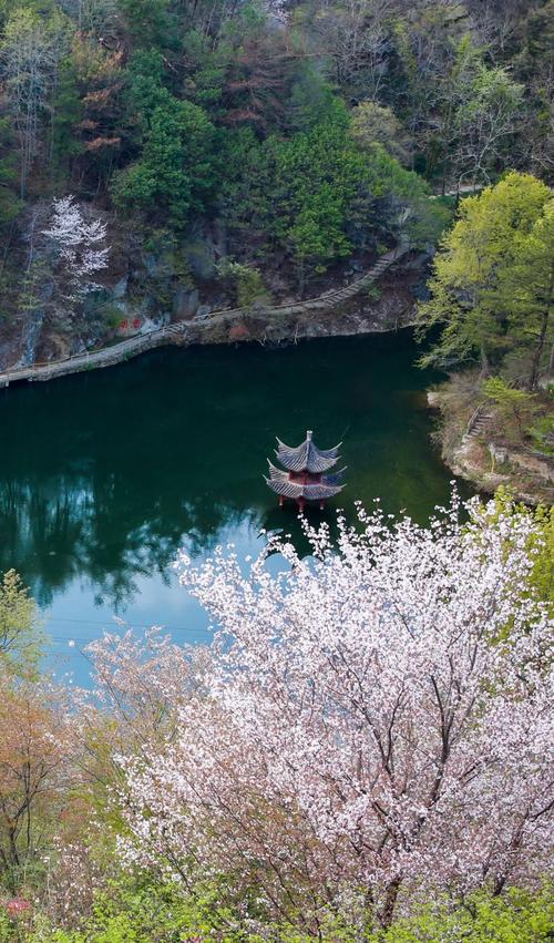 黄陂泡桐公园,自然之美与历史文化的交融之地