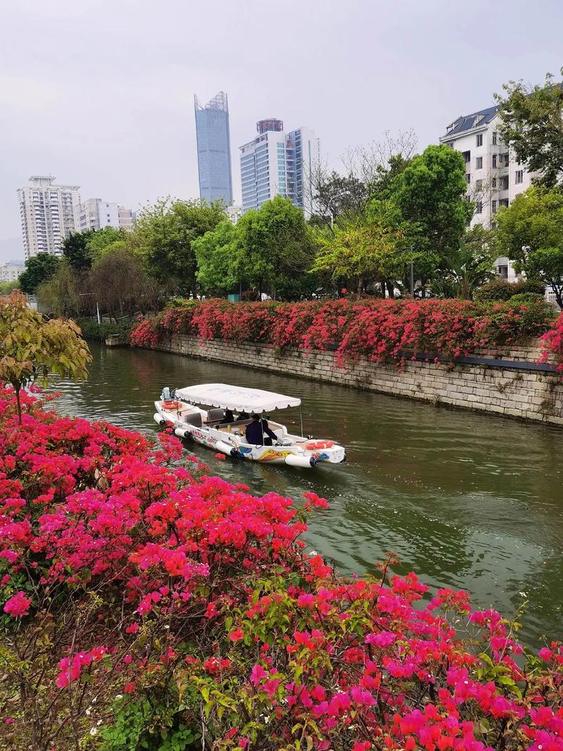 黎明公园河边景点,自然与人文的完美融合