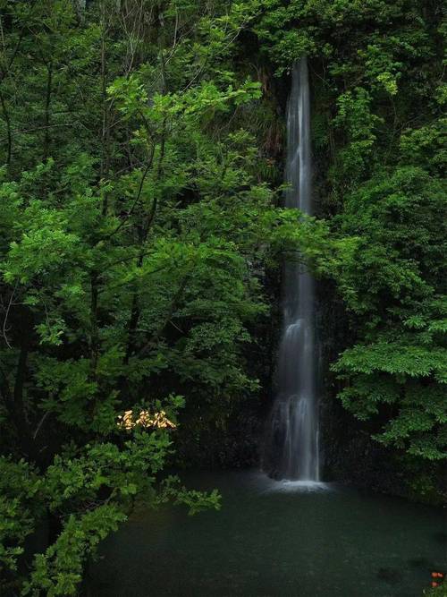 佛山天然山涧,隐匿于喧嚣中的绿意天堂