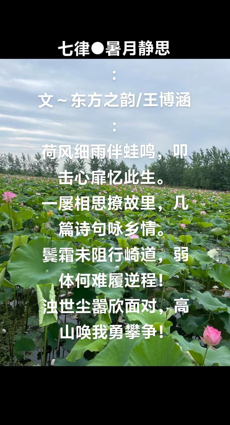 嘉善荷花,江南水乡的夏日诗篇