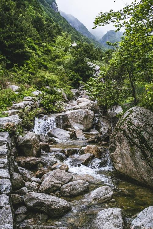 夏日漫步秦岭，探寻夏季秘境之美