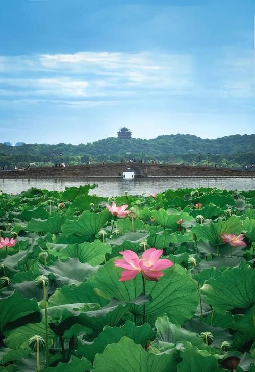 夏日炎炎，探寻我国夏季旅游的五大绝美景点