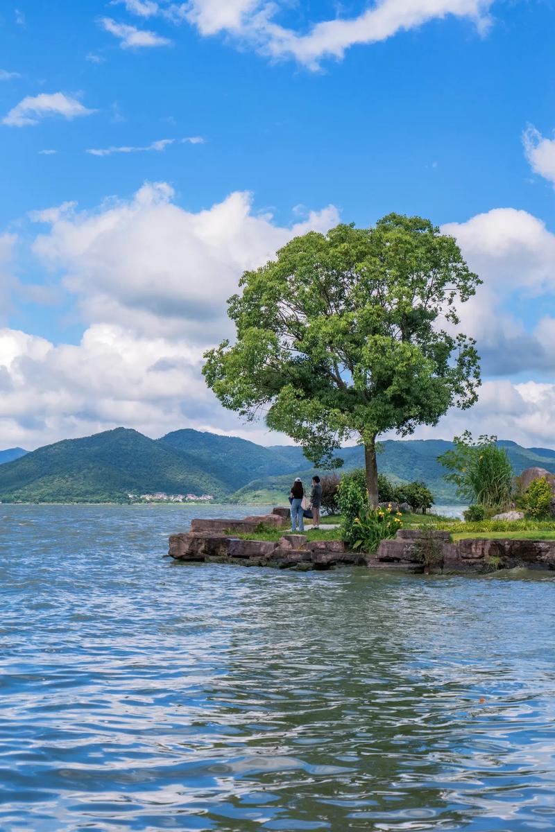 宁波水库,生态旅游胜地，探寻自然之美