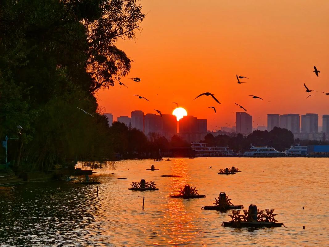 常州公园日落美景,浪漫时光，邂逅夕阳的温柔