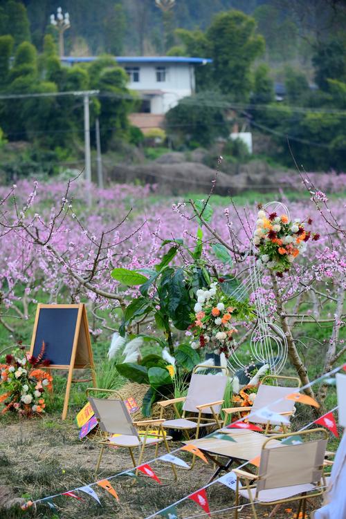 德阳花乡公园,春日里的繁花盛宴，自然与艺术的完美融合