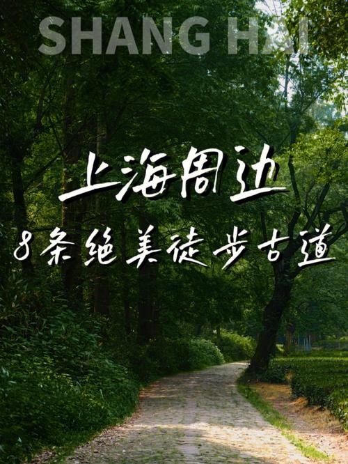 探寻上海周边古道，感受千年历史底蕴