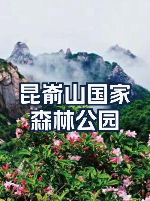 探寻云南森山公园,自然与人文的和谐共生