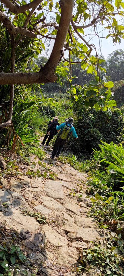 探寻历史足迹，品味西山古道魅力_湾里区西山古道之旅