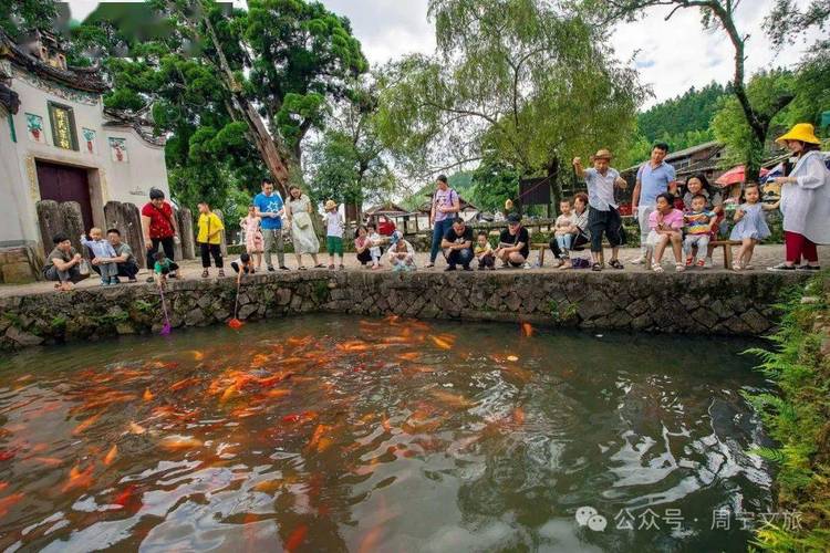 探寻徐州鲤鱼公园,山水画卷中的生态乐园