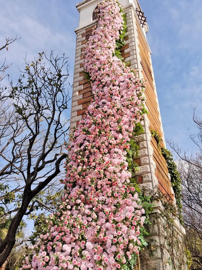 探寻昆明呈贡花都,一场浪漫的花卉盛宴